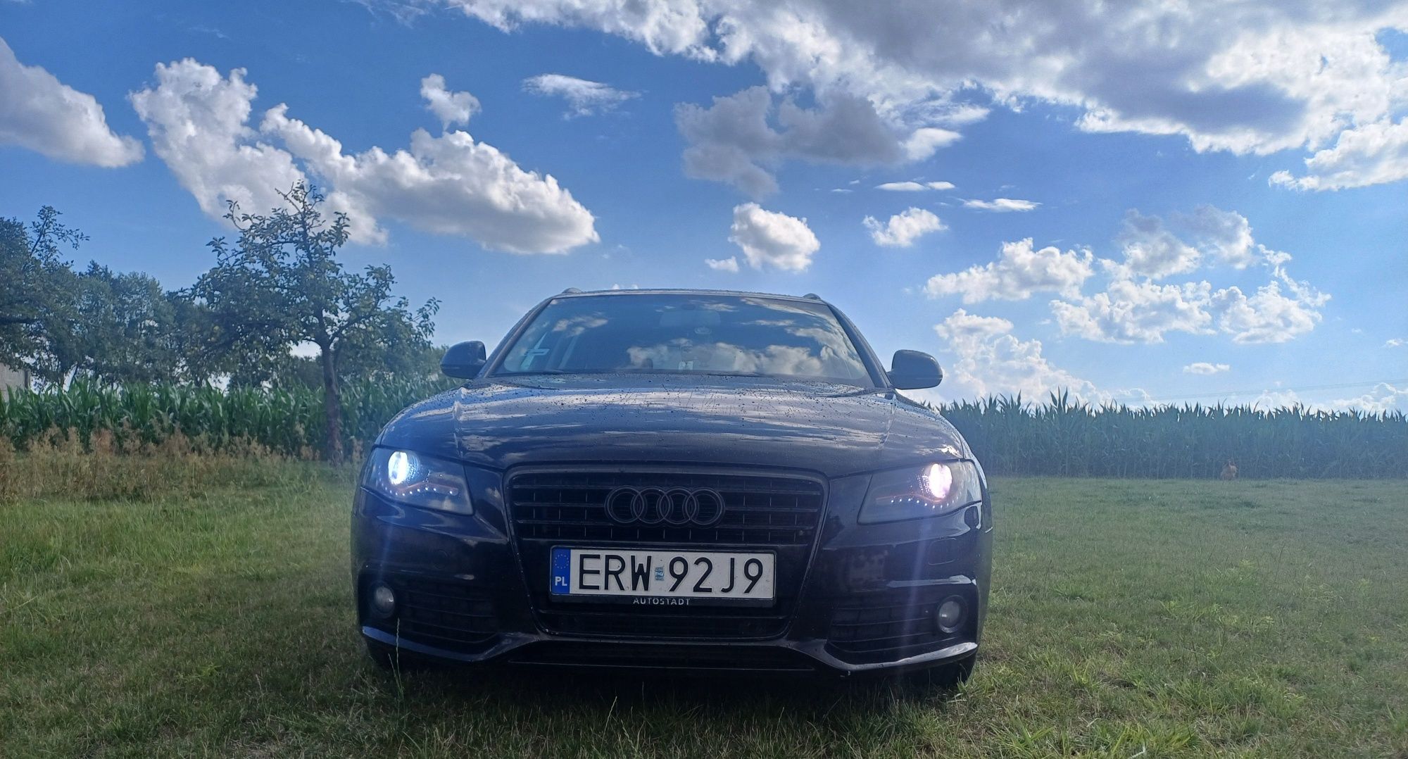 Audi A4 b8 3.0 tdi quattro