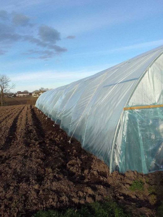 Продається домогосподарство у селі Вільшаниця (Івано-Франківська обл.)