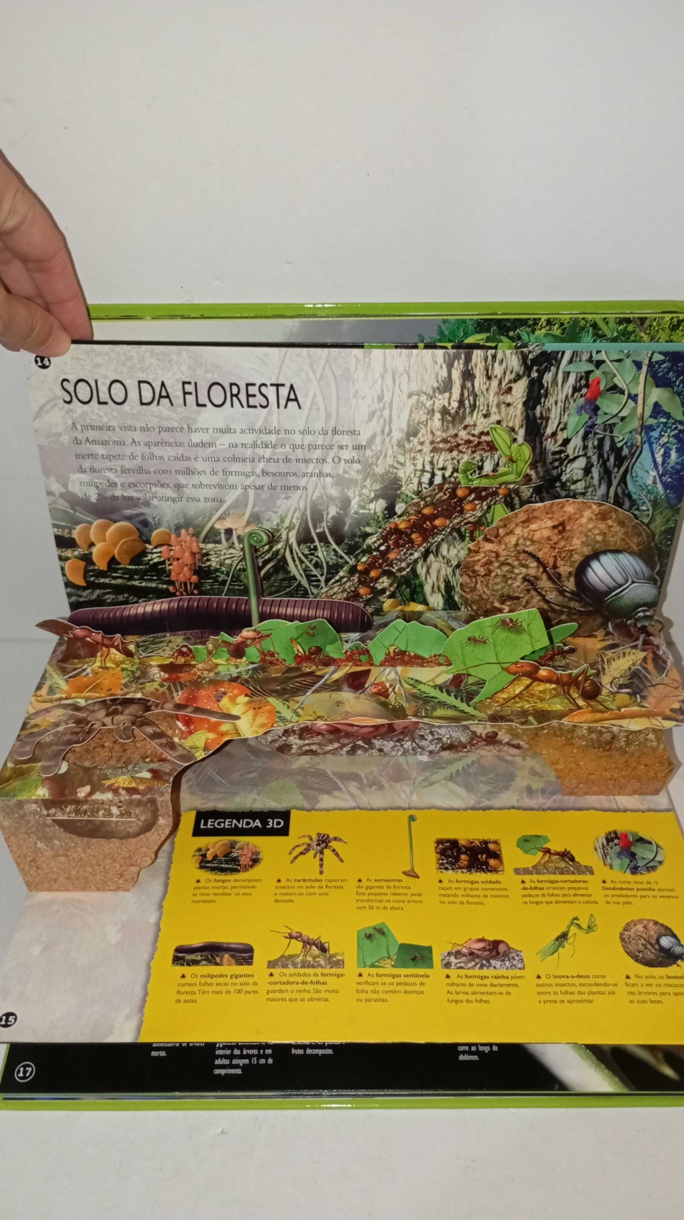 Floresta Tropical - Uma viagem do rio às copas das árvores -3D