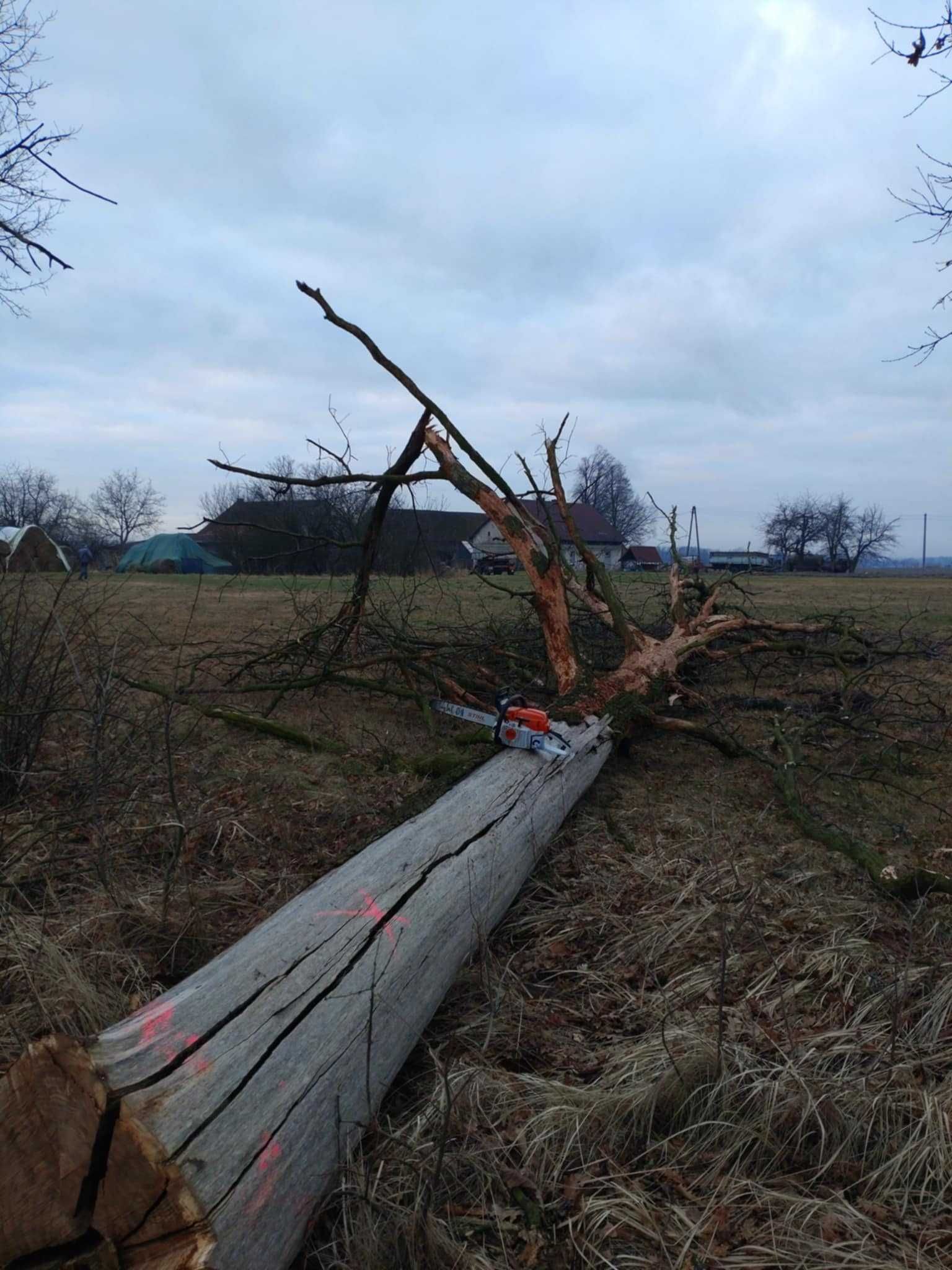 Układanie kostki brukowej, montaż płotów, wycinka drzew, wyburzenia