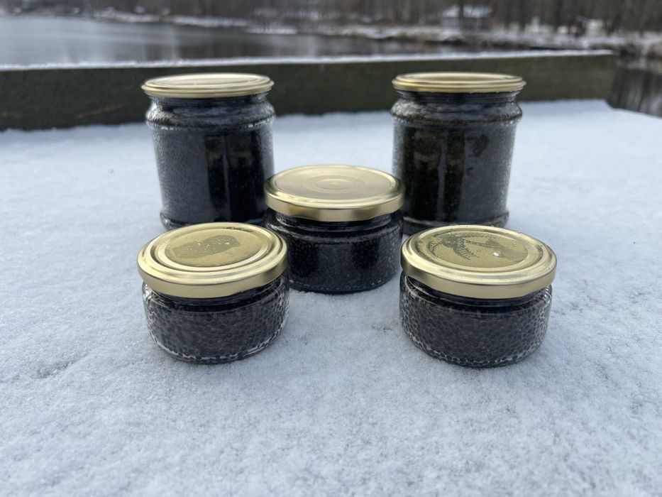 Чорна ікра сибірського осетра від рибного господарства.