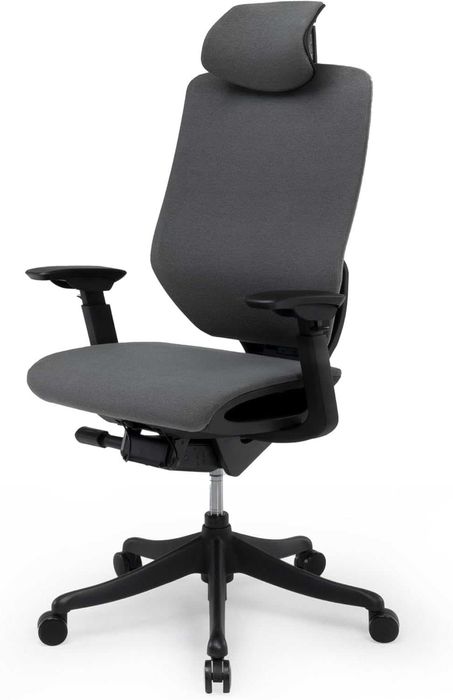 Nowy fotel ergonomiczny / krzesło biurowe / FlexiSpot BS12 !K445!