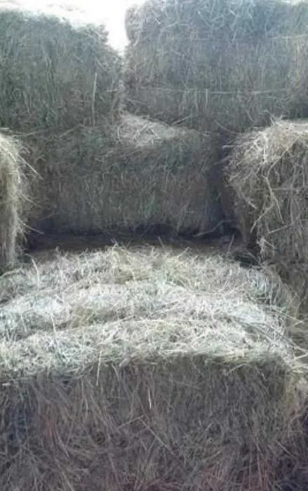 Тюки сіна квадратні