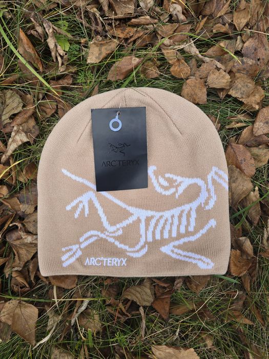 Шапка Arc’teryx !
