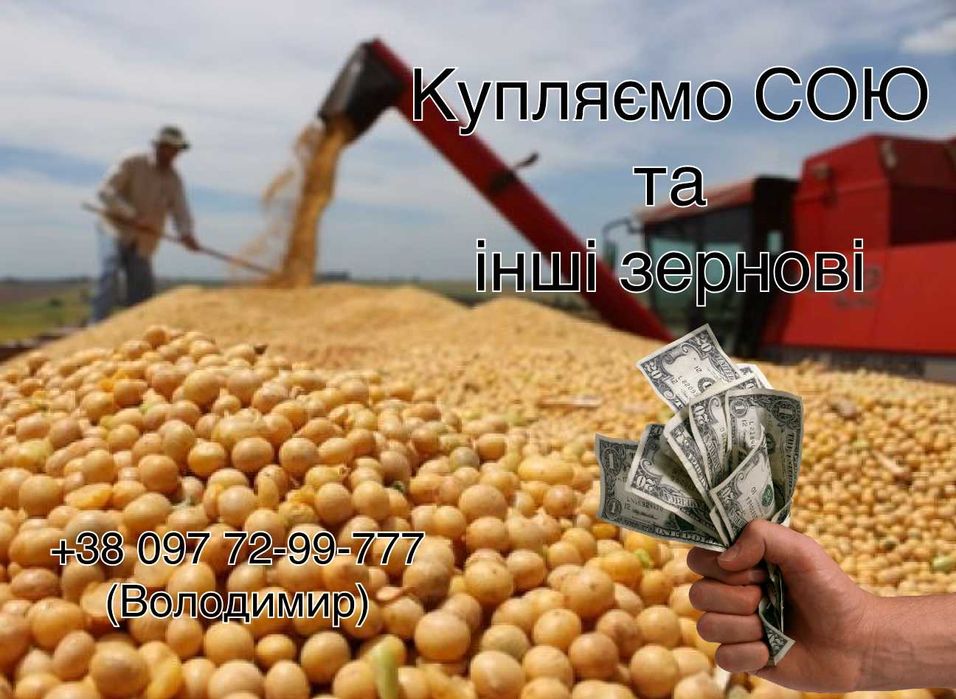Закуповуємо сою та зернові з поля або з місця, по західній Україні