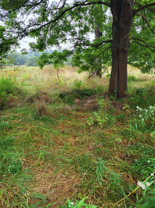 3 działki rolne o powierzchni 0,98ha