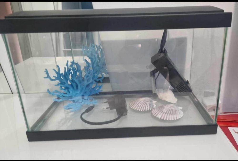 Aquário 15L com filtro, iluminação LED e decoração