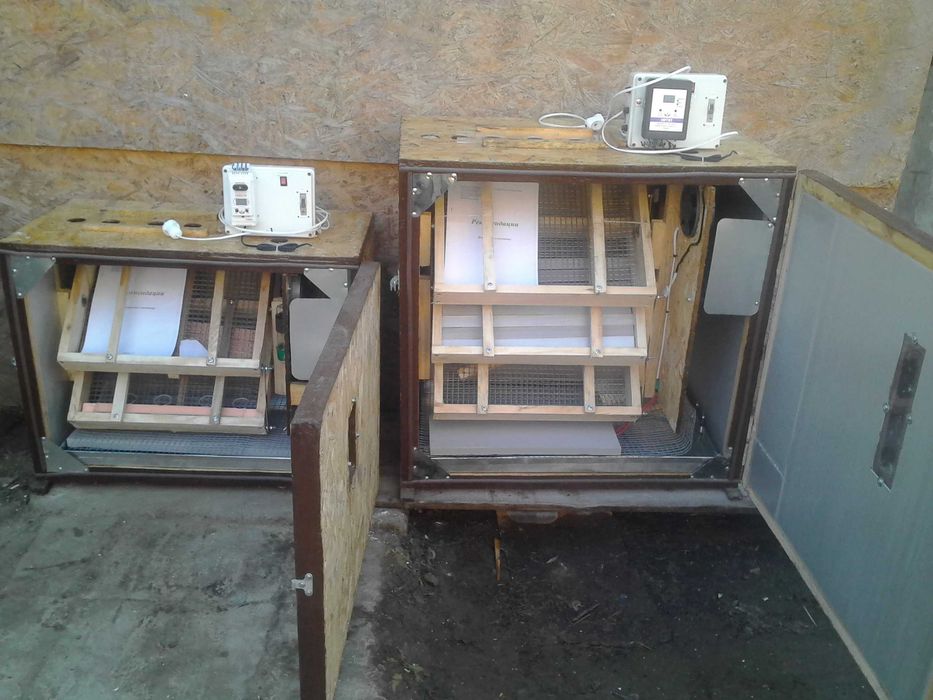 инкубатор окси на 130,240,320,400,520,750,1000,1500,2000,2500,4000 яиц