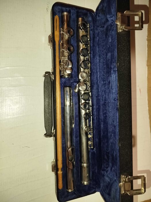 Флейта Martin Galaxy в жорсткому футлярі