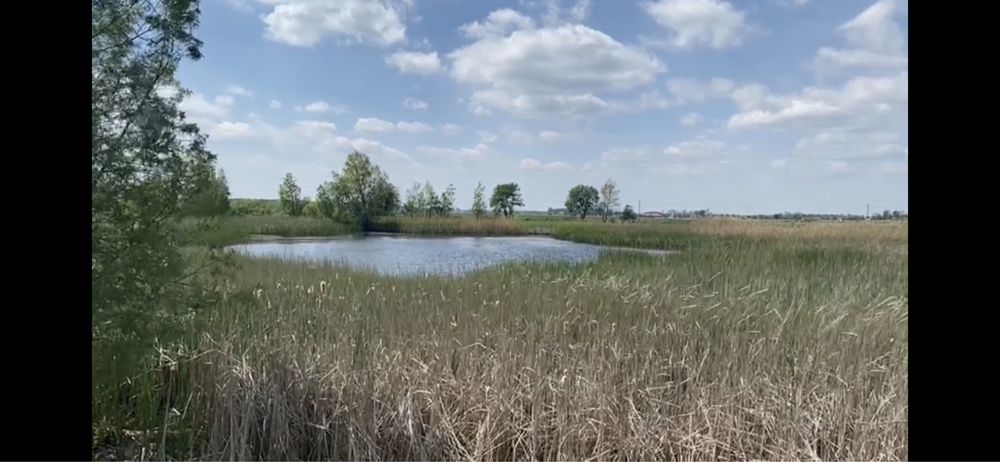 Ziemia rolna 3,5 ha z pięknym stawem 0,8ha blisko Łask, 40km do Łodzi