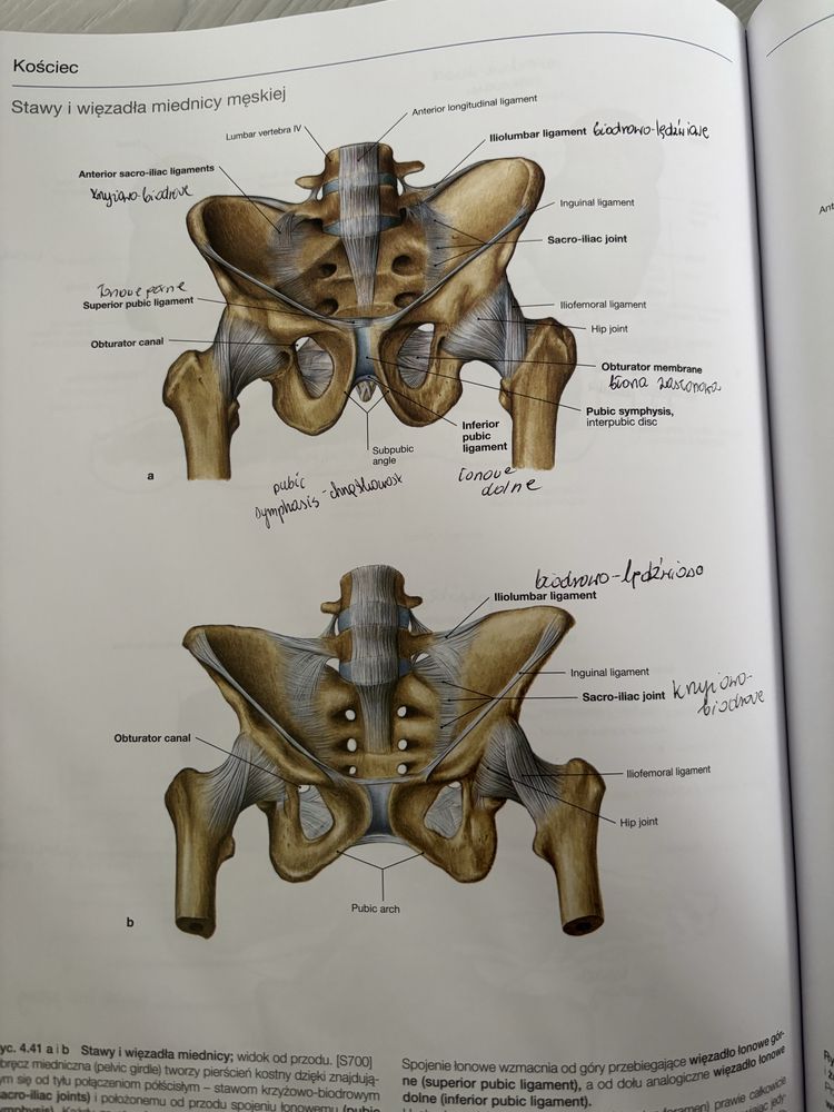 3 atlasy anatomiczne Sobotta