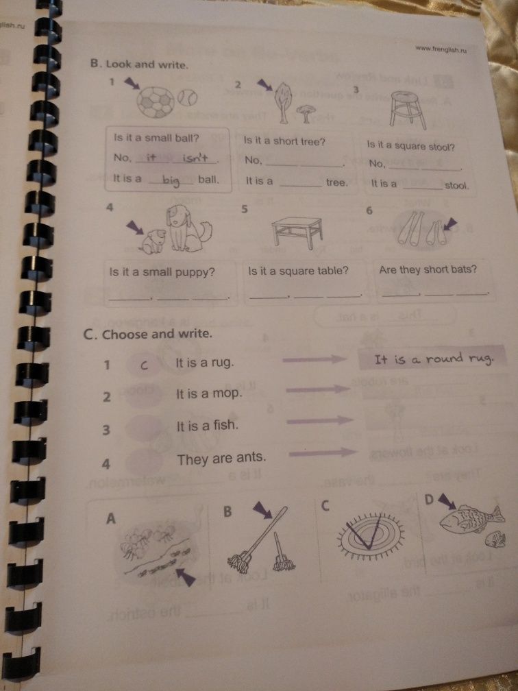 My first grammar,Grammar