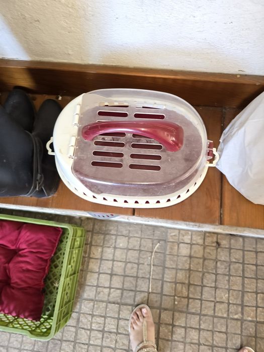 Tranportadora animais pequenos