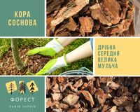 Кора Соснова ; ВСІ фракції; Садові бордюри. Доставка Укрпоштою.