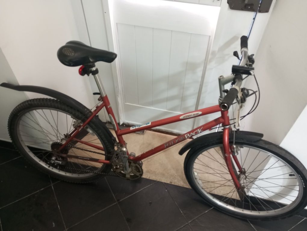 Vendo bicicleta por 180€
