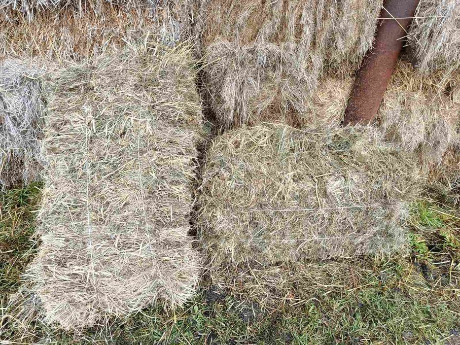 Продам тюка соломи, сіна. Можлива доставка