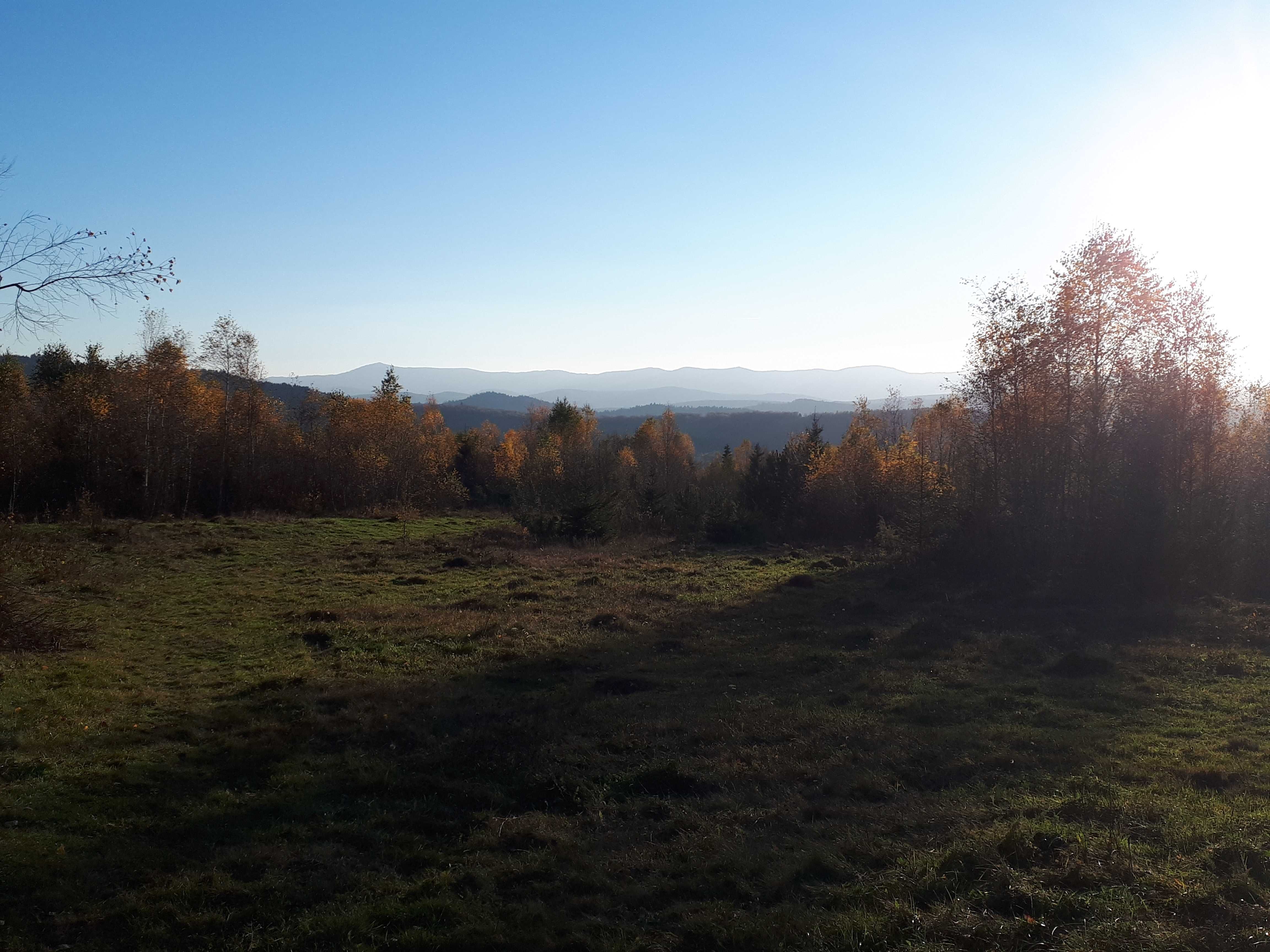 Земельна ділянка.