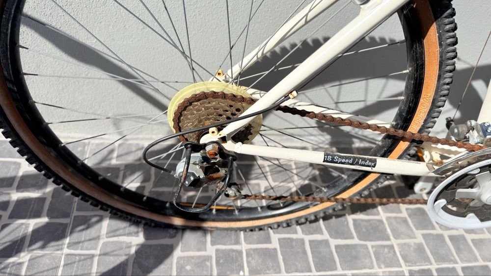 Bicicleta modelo Orbita