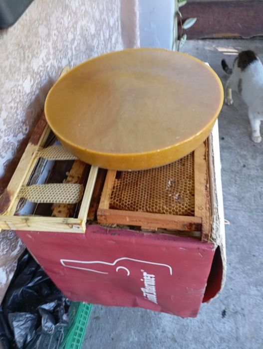 Бджолиний віск з власної пасіки.