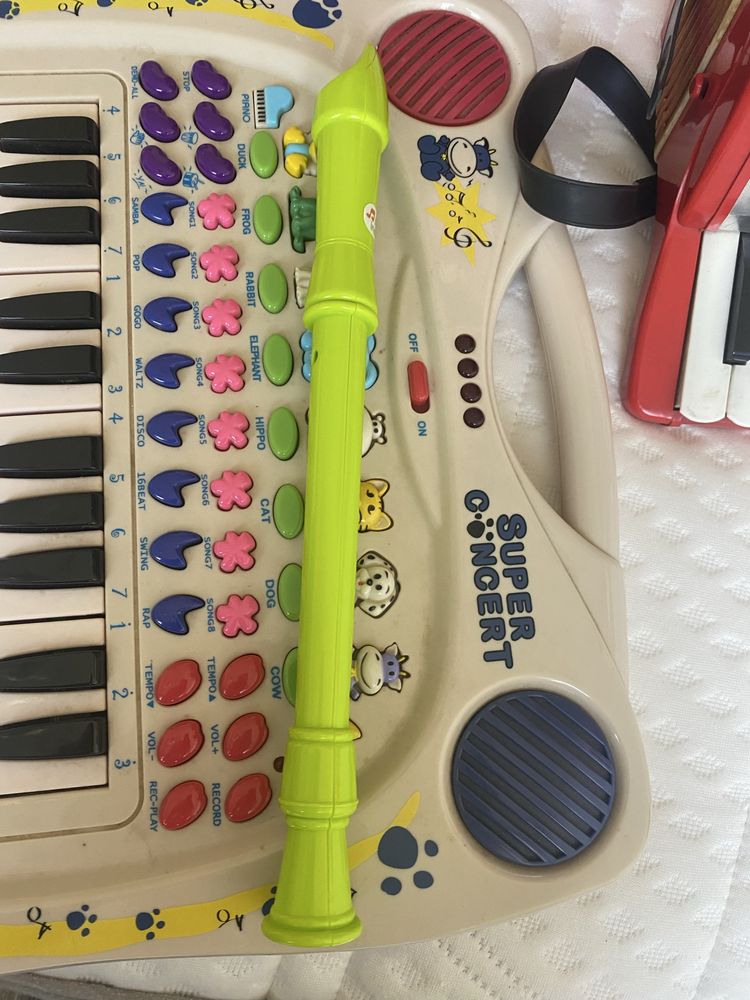 Instrumenty muzyczne acorfeon flet cymbałki elektryczny kyborf