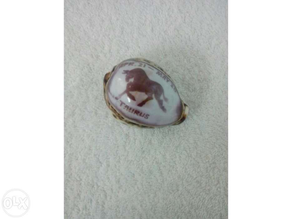 Búzio signo Touro (portes incluídos)