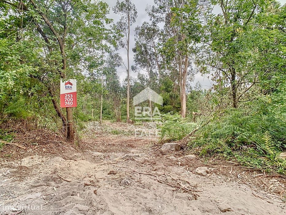 Lote industrial com 2.550m2 em Quinchães