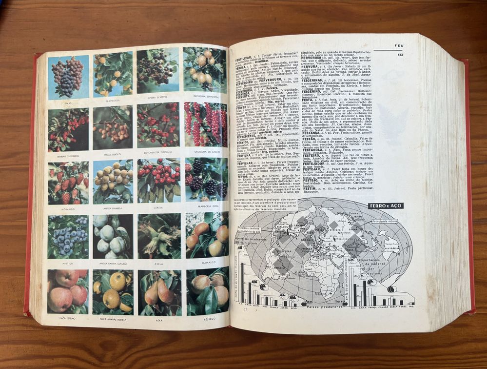 Dicionário Prático Ilustrado Lello