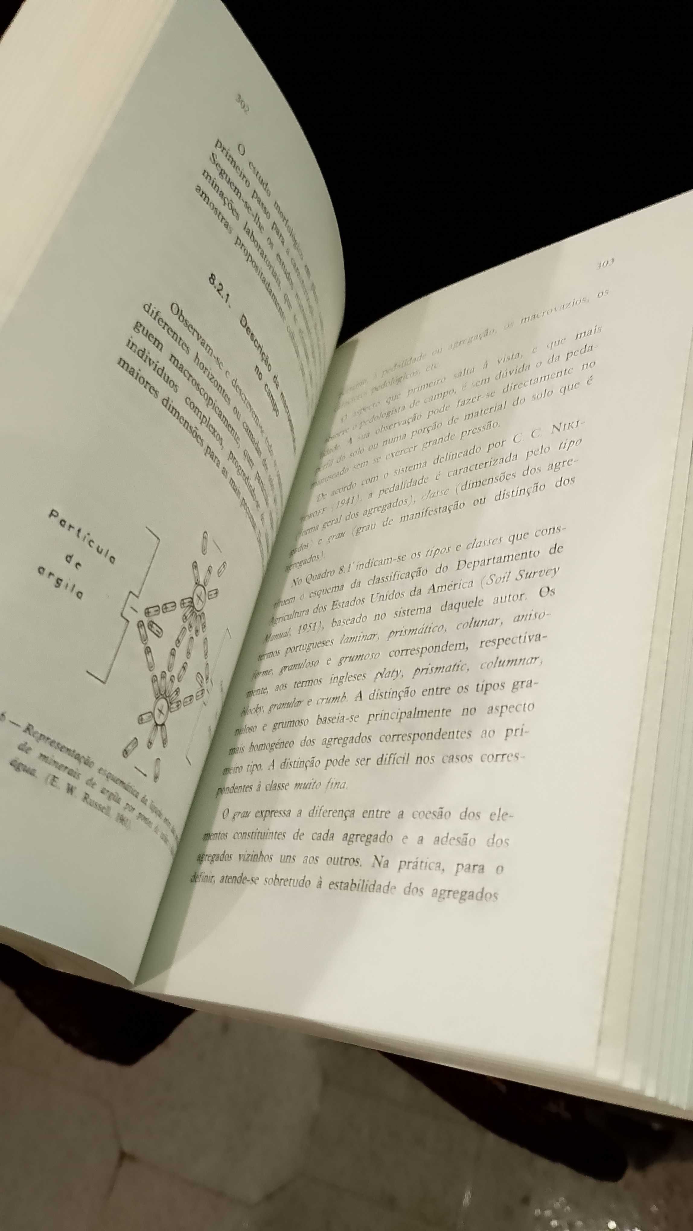 Caracterização e Constituição do solo - Joaquim Botelho da Costa