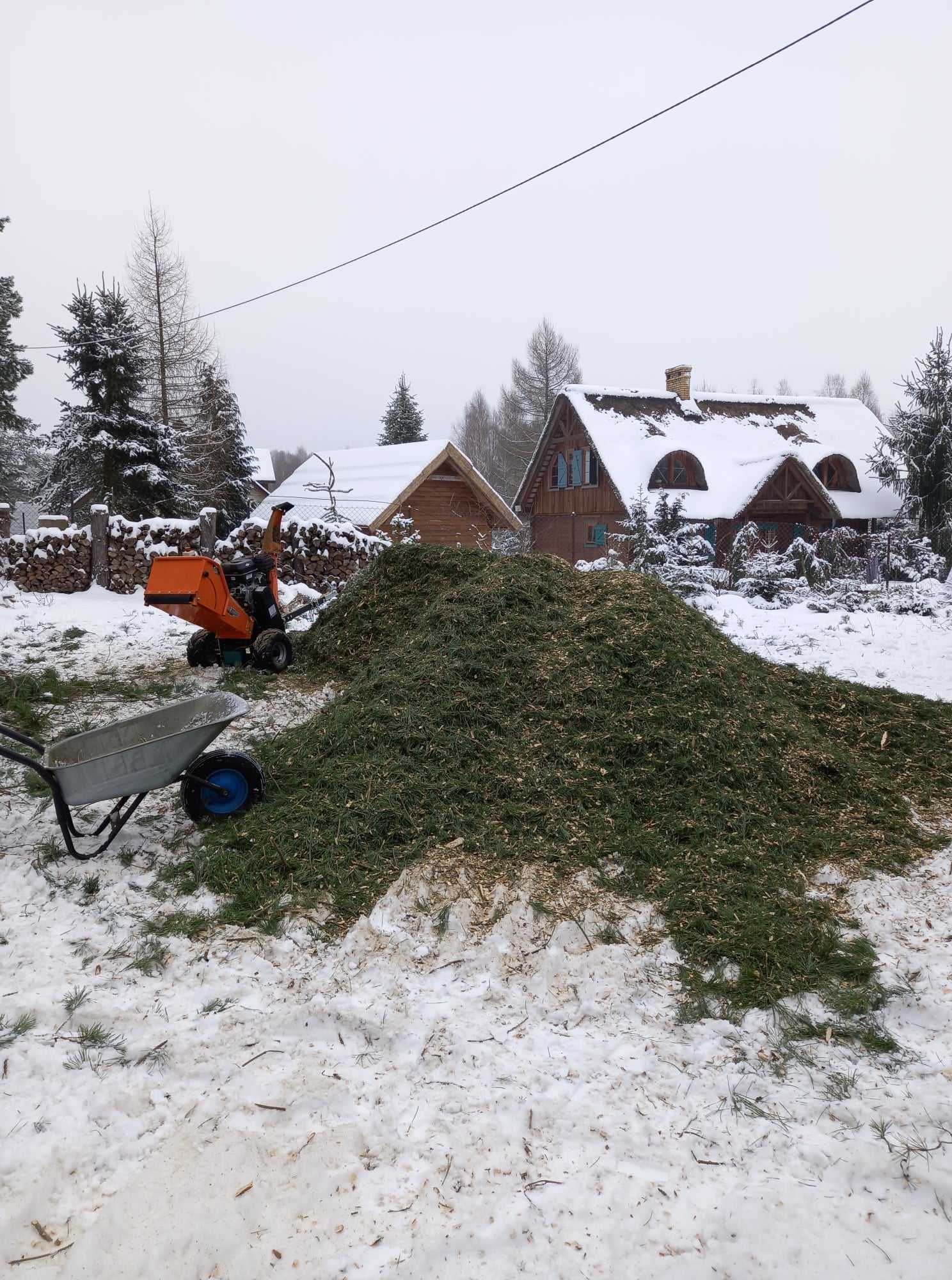 Wycinka drzew, sprzątanie działek, pielęgnacja ogrodów, alpinistyka