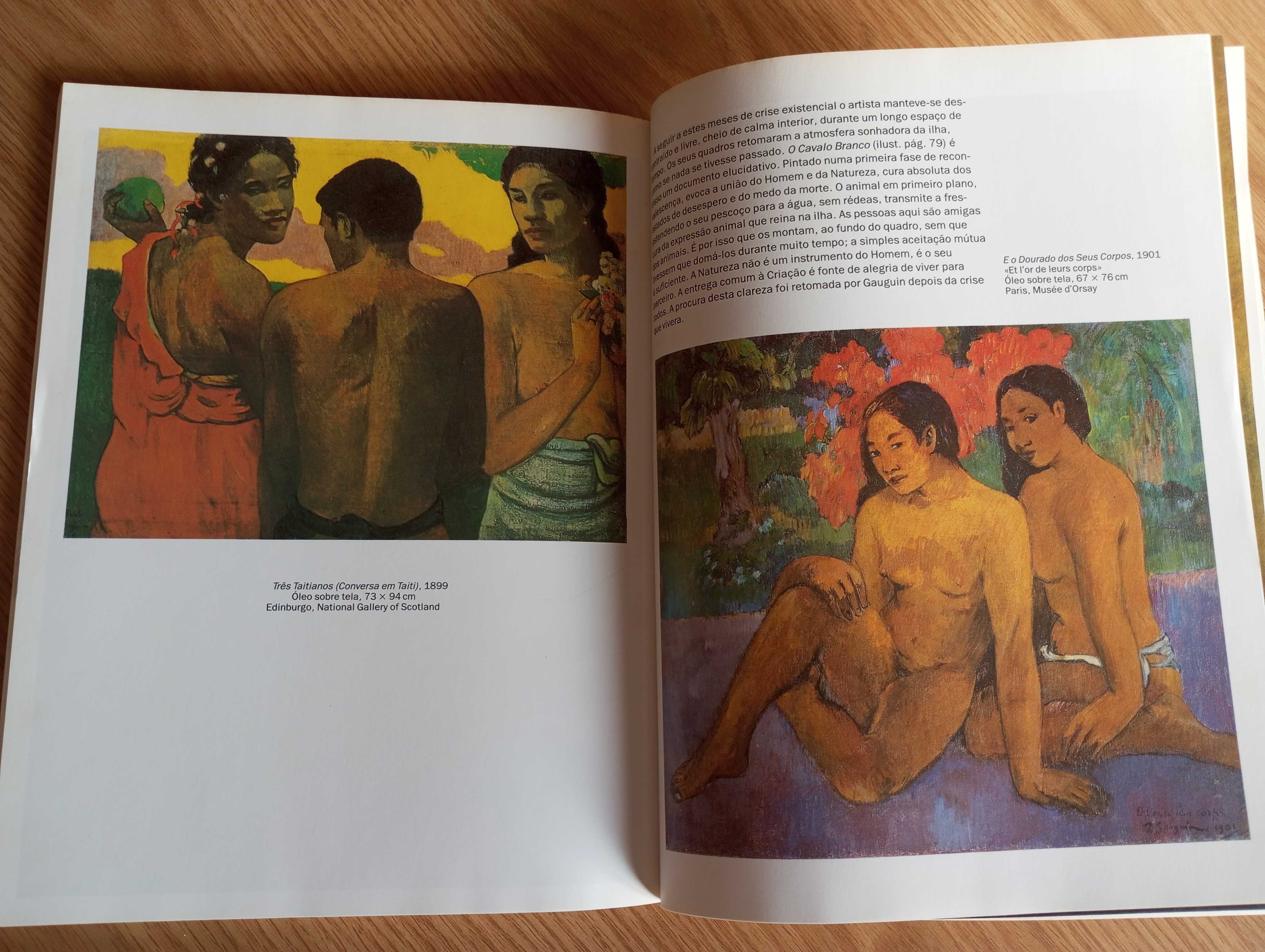 Paul Gauguin Quadros de um inconformado