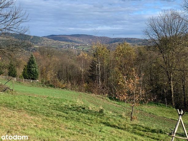 Działka budowlana, widokowa przy lesie, prąd