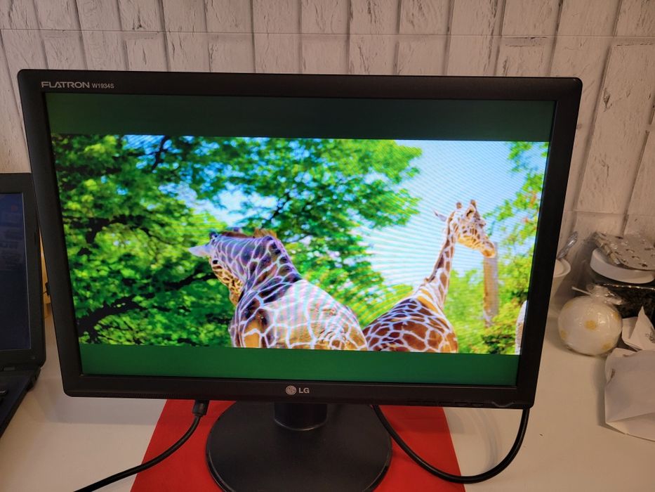 Monitor LG W1934S