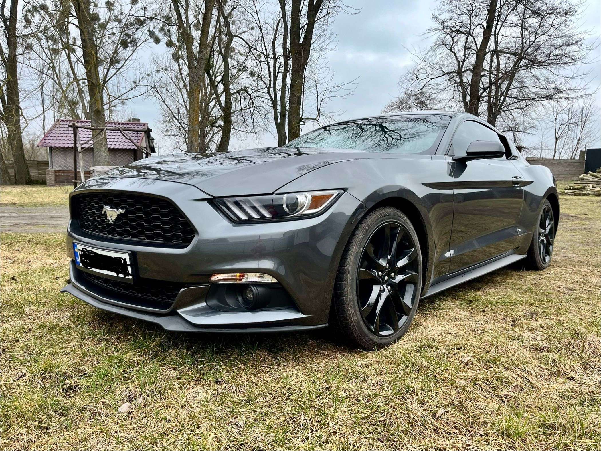 Ford Mustang EcoBoost 2017