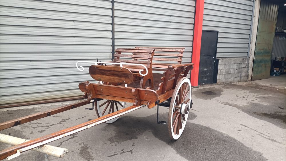 Charrete de cavalo