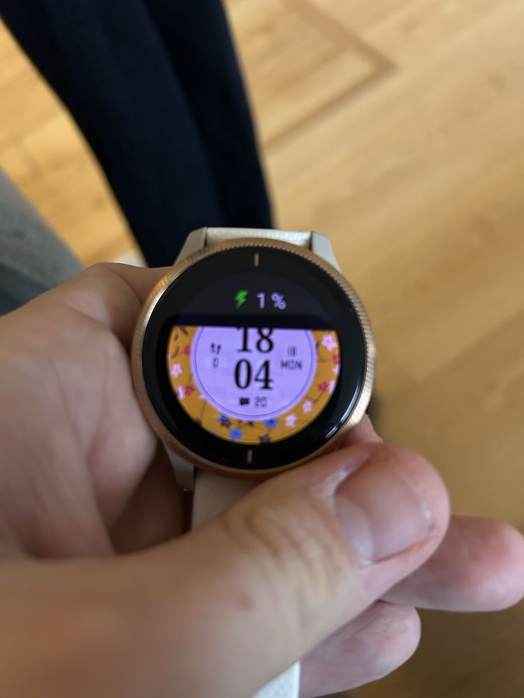 Smartwatch Garmin Venu