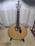 Artimusica guitarra portuguesa garantia estojo