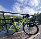 Bergamont revox 7.4