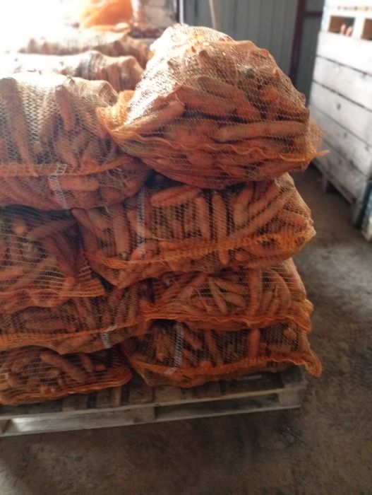 Sprzedam marchew  odpadową oraz jadalna