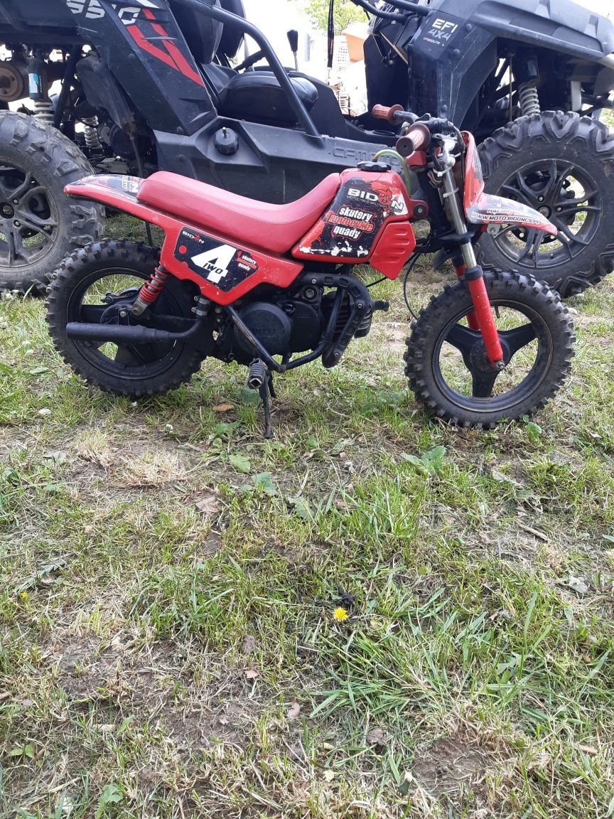 yamaha pw 50 mini cross