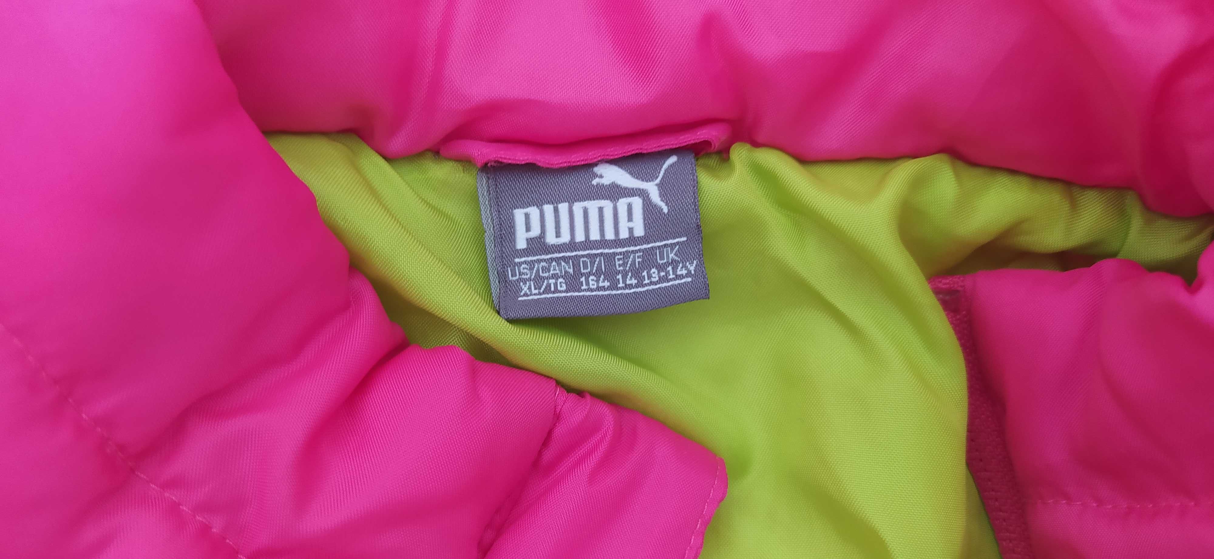 Blusão/Kispo da PUMA - 14 anos