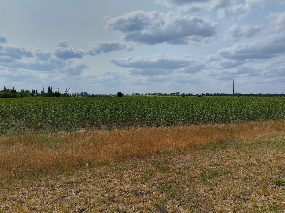 Продаётся земля сельхоз назначения в Никопольском районе