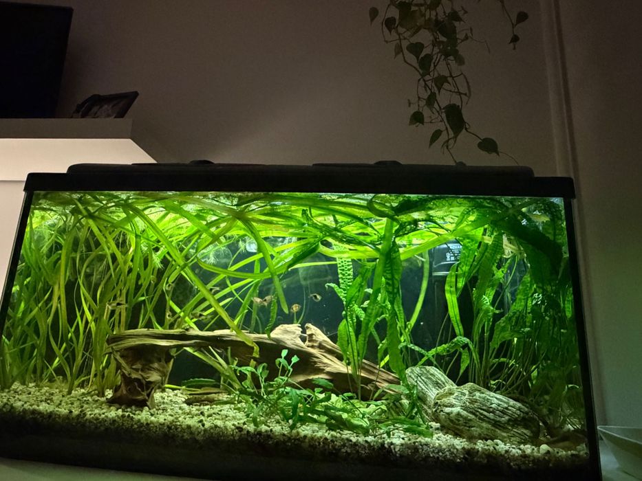 AKWARIUM 112L 80x35x40