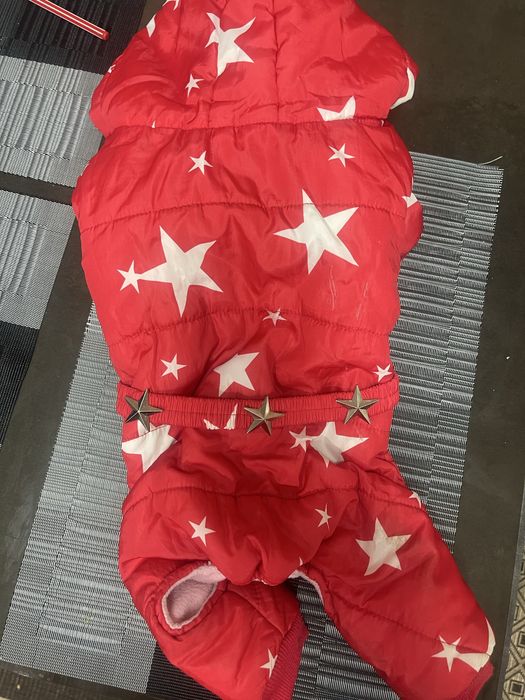 Одяг для собак не великих порід