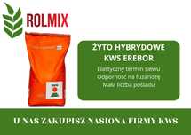 Żyto hybrydowe KWS Erebor – uniwersalne żyto hybrydowe