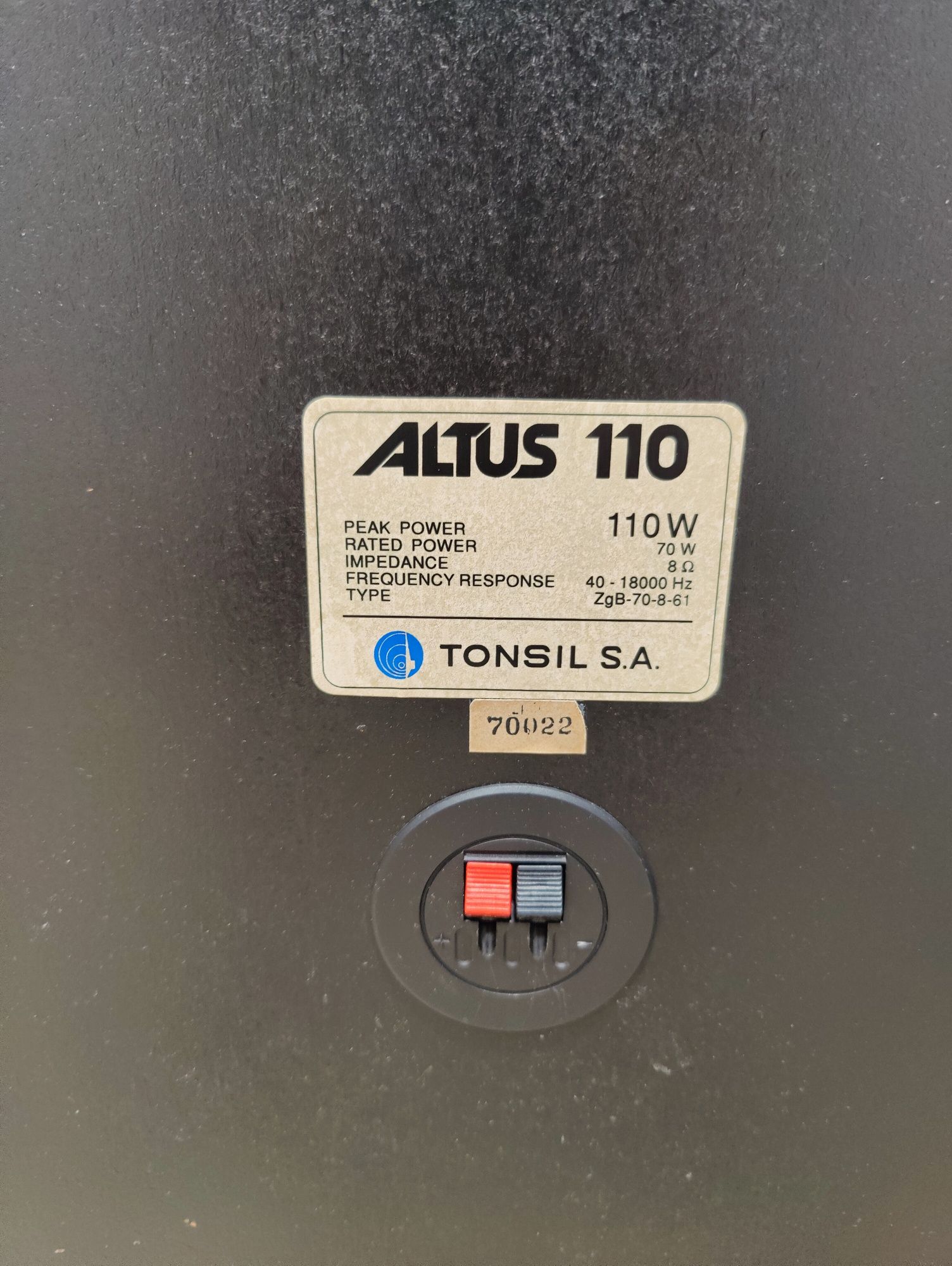 kolumny  tonsil altus 110 wat