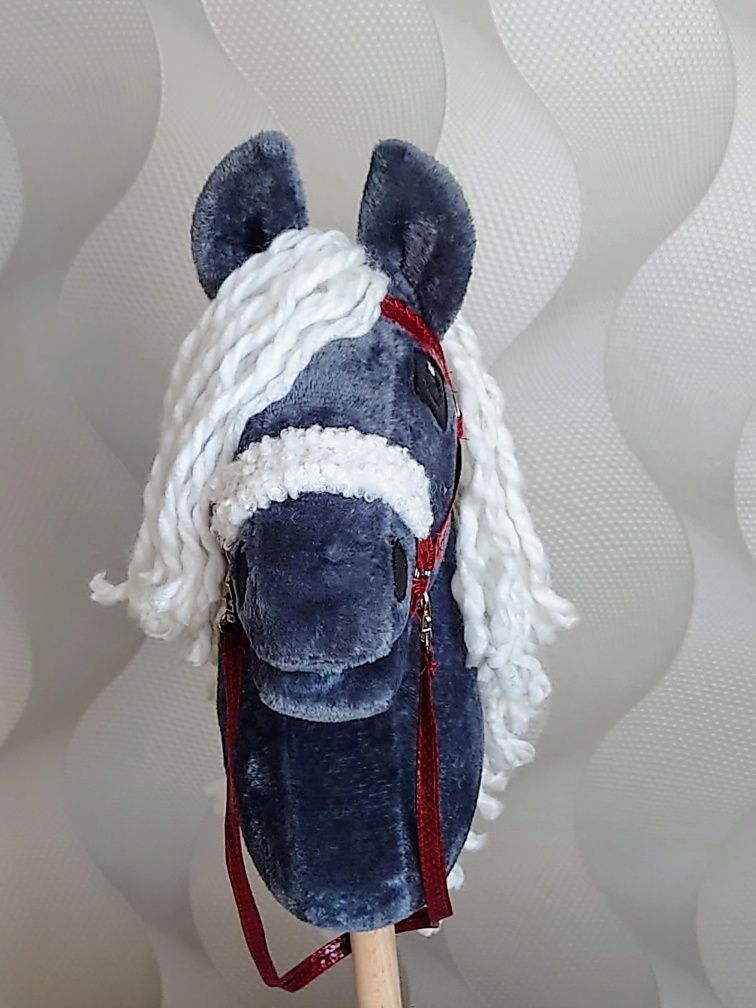 Hobby horse konik