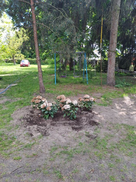 Wynajem domu Puławy