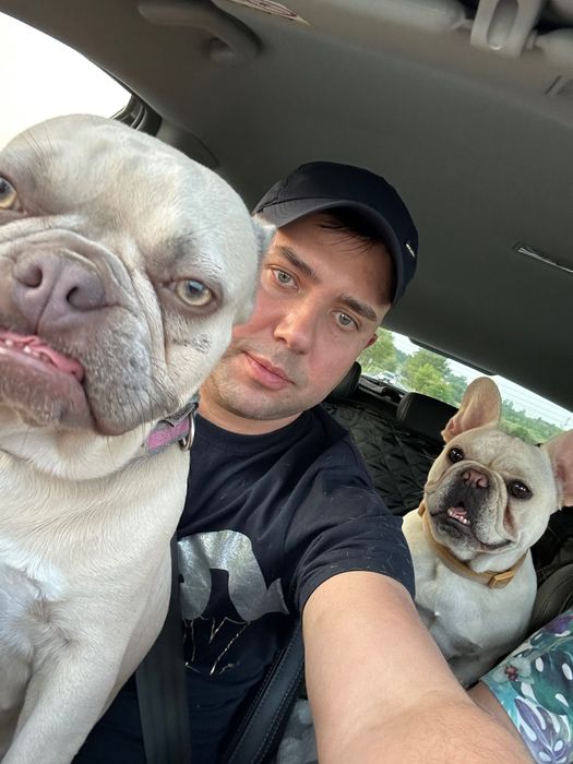 Domowa  opieka nad psami i kotami