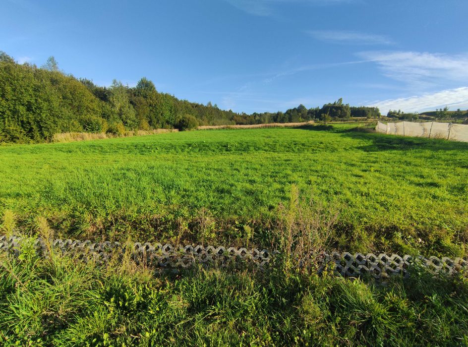 Działka rolno-budowlana 0,1747 ha  PRUCHNIK
