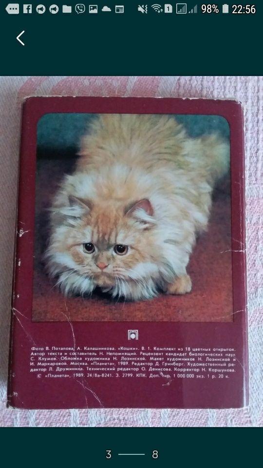 Набор открыток с кошками.